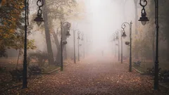 Mlžný park s mnoha stromy a lavičkami
